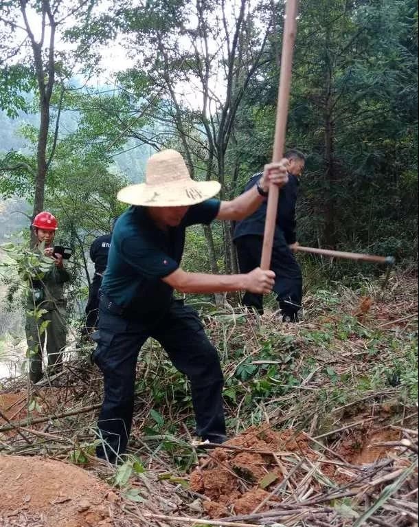 干好每一天|青山掛白我復綠，無私奉獻金森人——資源保護部義務突擊隊工作記實