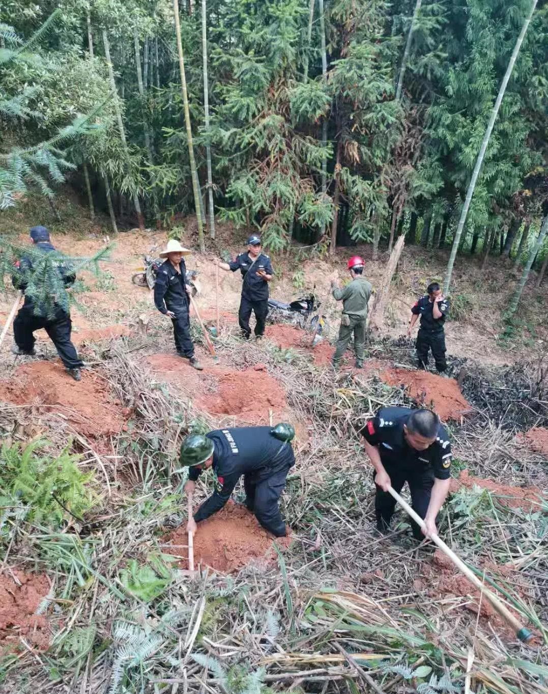 干好每一天|青山掛白我復綠，無私奉獻金森人——資源保護部義務突擊隊工作記實