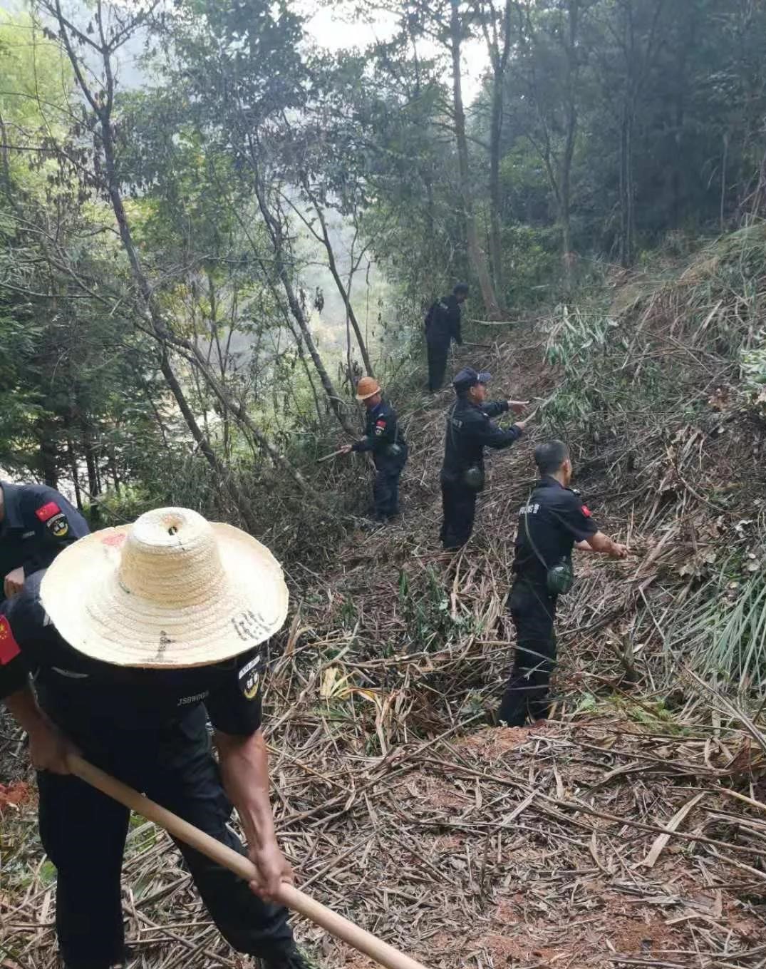 干好每一天|青山掛白我復綠，無私奉獻金森人——資源保護部義務突擊隊工作記實