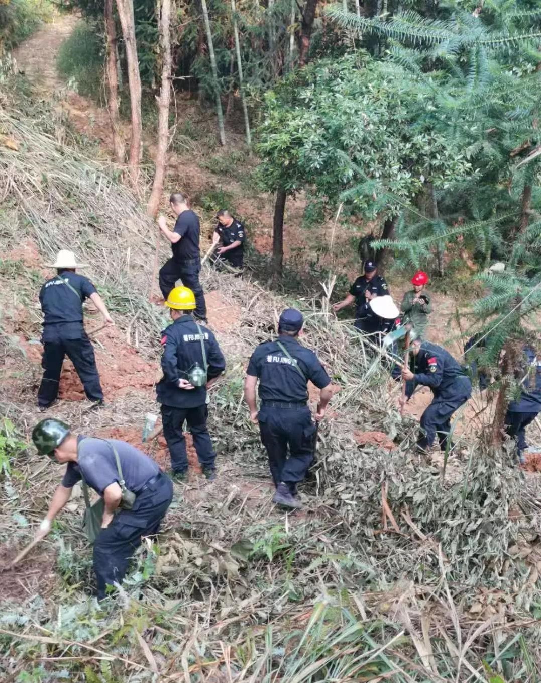 干好每一天|青山掛白我復綠，無私奉獻金森人——資源保護部義務突擊隊工作記實