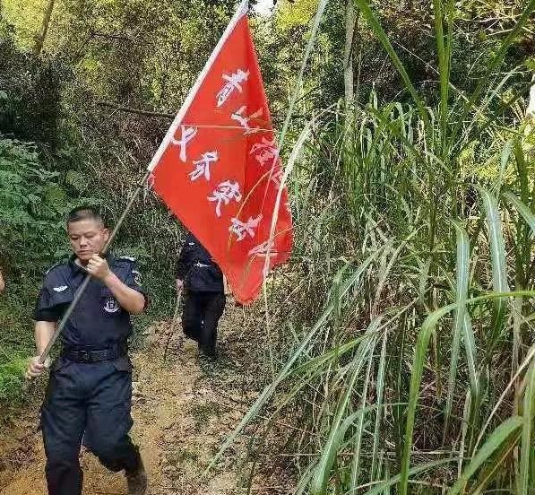 干好每一天|青山掛白我復綠，無私奉獻金森人——資源保護部義務突擊隊工作記實